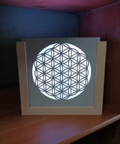 (ver)Wondersnijplaat Flower of Life