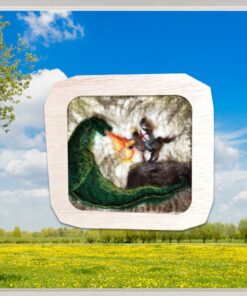 (ver)Wonderplaat Joris en de draak
