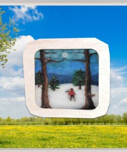 (ver)Wonderplaat Winterwandeling