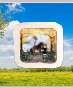 (ver)Wonderplaat Paardenmeisje
