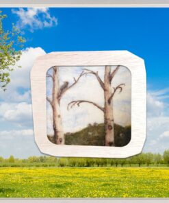 (ver)Wonderplaat Boom specht